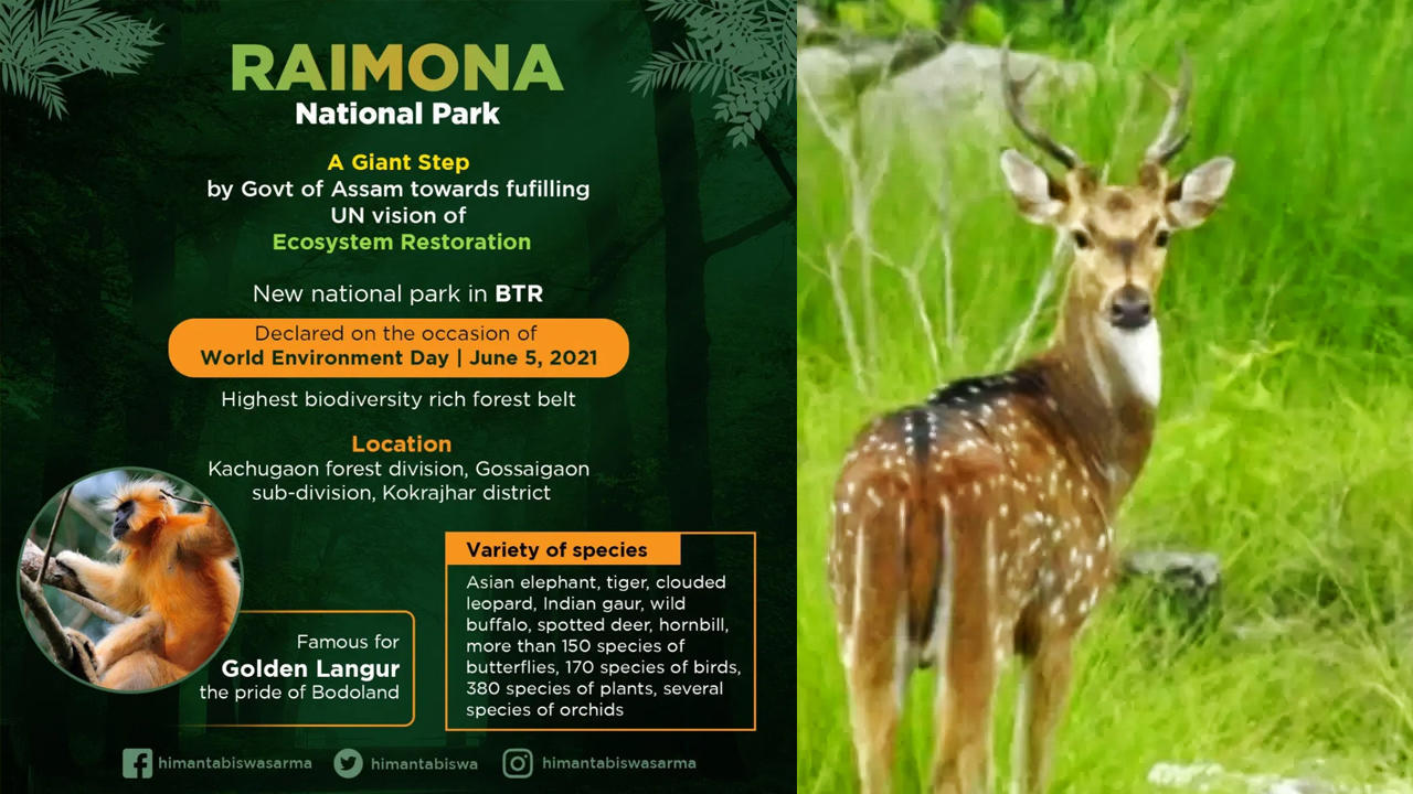 Assam govt names Raimona reserve forest sixth national park | আসাম সরকার রায়মোনা রিজার্ভ ফরেস্টকে ষষ্ঠ জাতীয় উদ্যান হিসেবে ঘোষণা করেছে_20.1