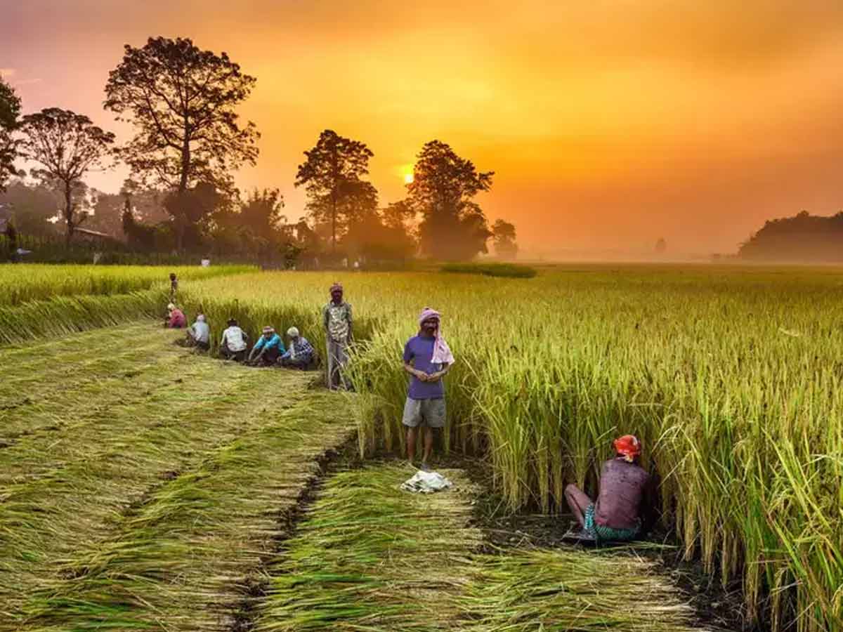 Digital Platform "Kisan Sarathi" launched to facilitate farmers | शेतकर्यांना सुविधा देण्यासाठी डिजिटल प्लॅटफॉर्म "किसान सारथी" सुरू केले_2.1