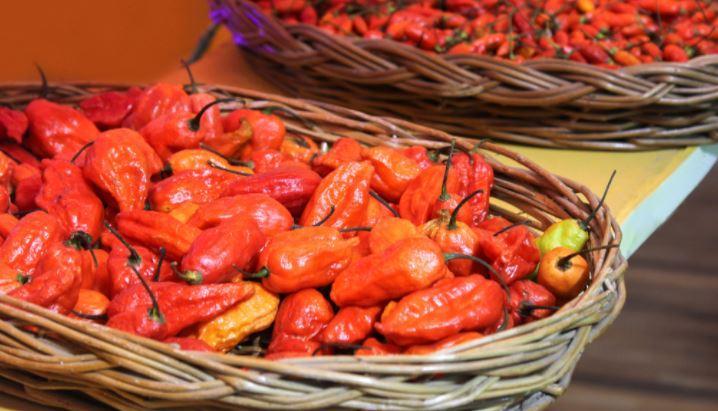 Bhoot Jolokia chillies from Nagaland exported to London | नागालँडमधील भूत जोलोकिया मिरच्यांची लंडनला निर्यात 