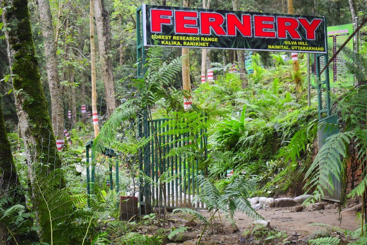 India’s largest open air fernery opened in Uttarakhand