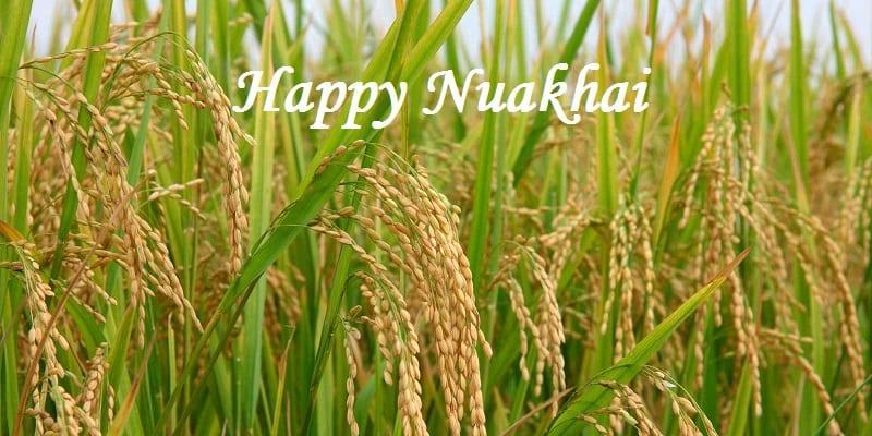 Nuakhai Juhar harvest festival celebrated in Odisha