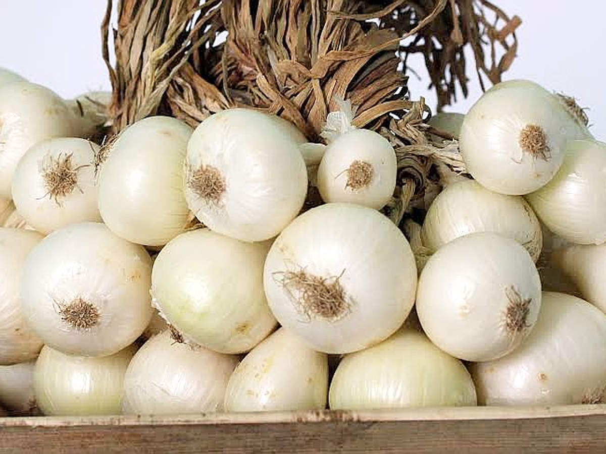 Alibaug white onion gets GI tag for health benefits