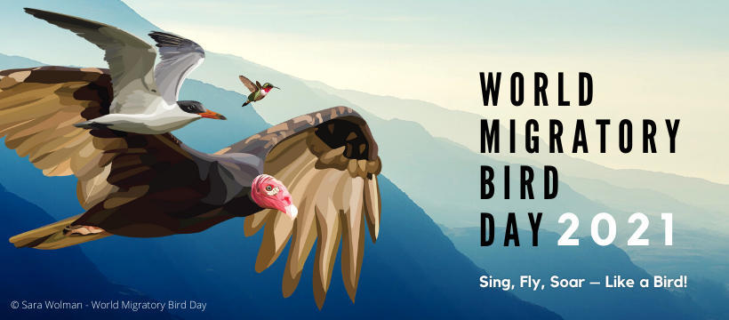 World Migratory Bird Day 2021: 09 October