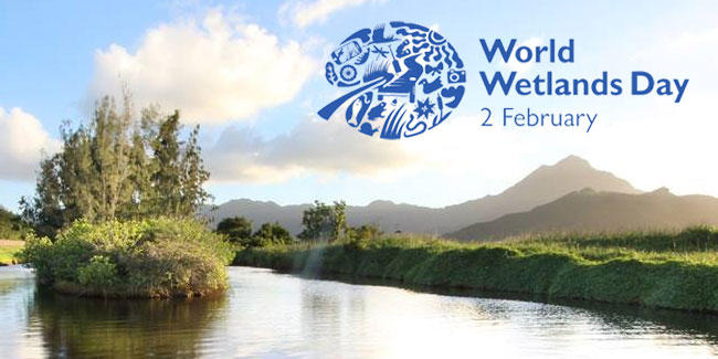 World Wetlands Day observed on 02 February