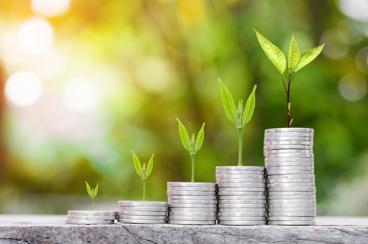 DBS Bank India launches Green Deposits programme