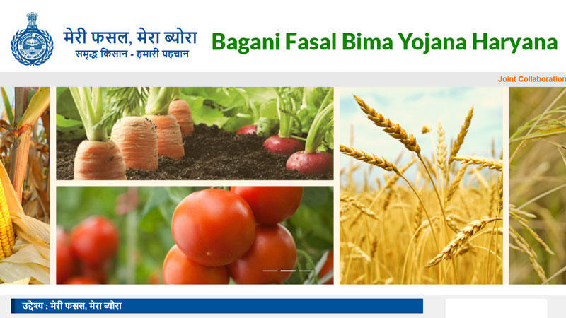 Haryana govt launched crop insurance portal of ‘Mukhya Mantri Bagwani Bima Yojana’
