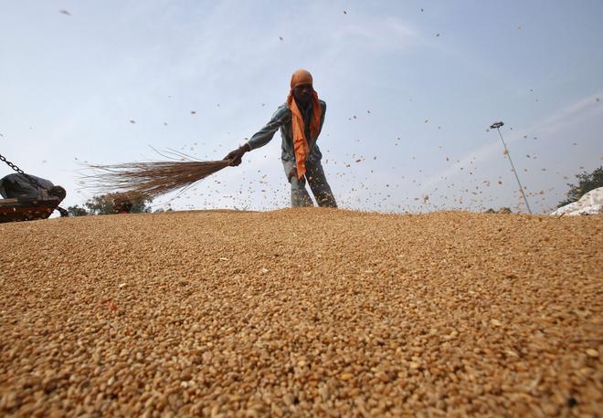 Agricultural imports from India suspended by Indonesia