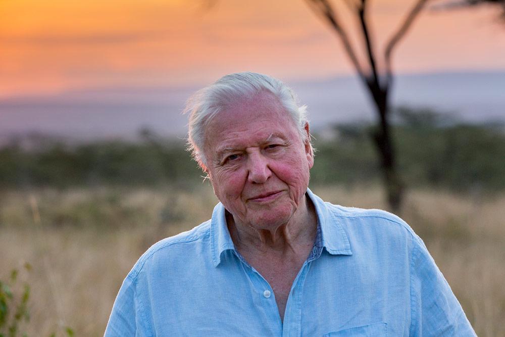 Sir David Attenborough earns UN ‘Champion of the Earth Lifetime Achievement award’