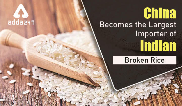 China Becomes the Largest Importer of Indian Broken Rice