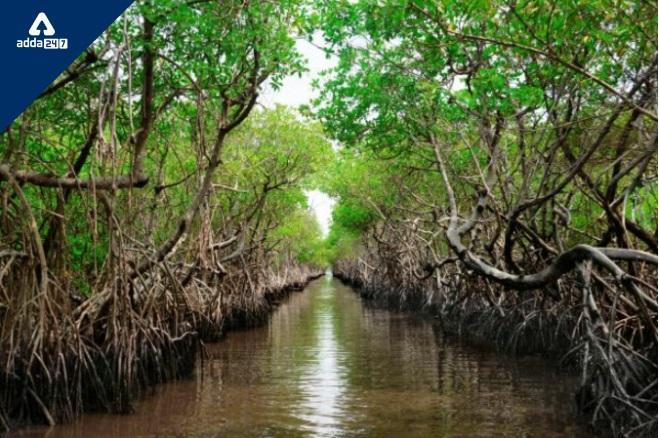 International Day for the Conservation of the Mangrove Ecosystem 2022
