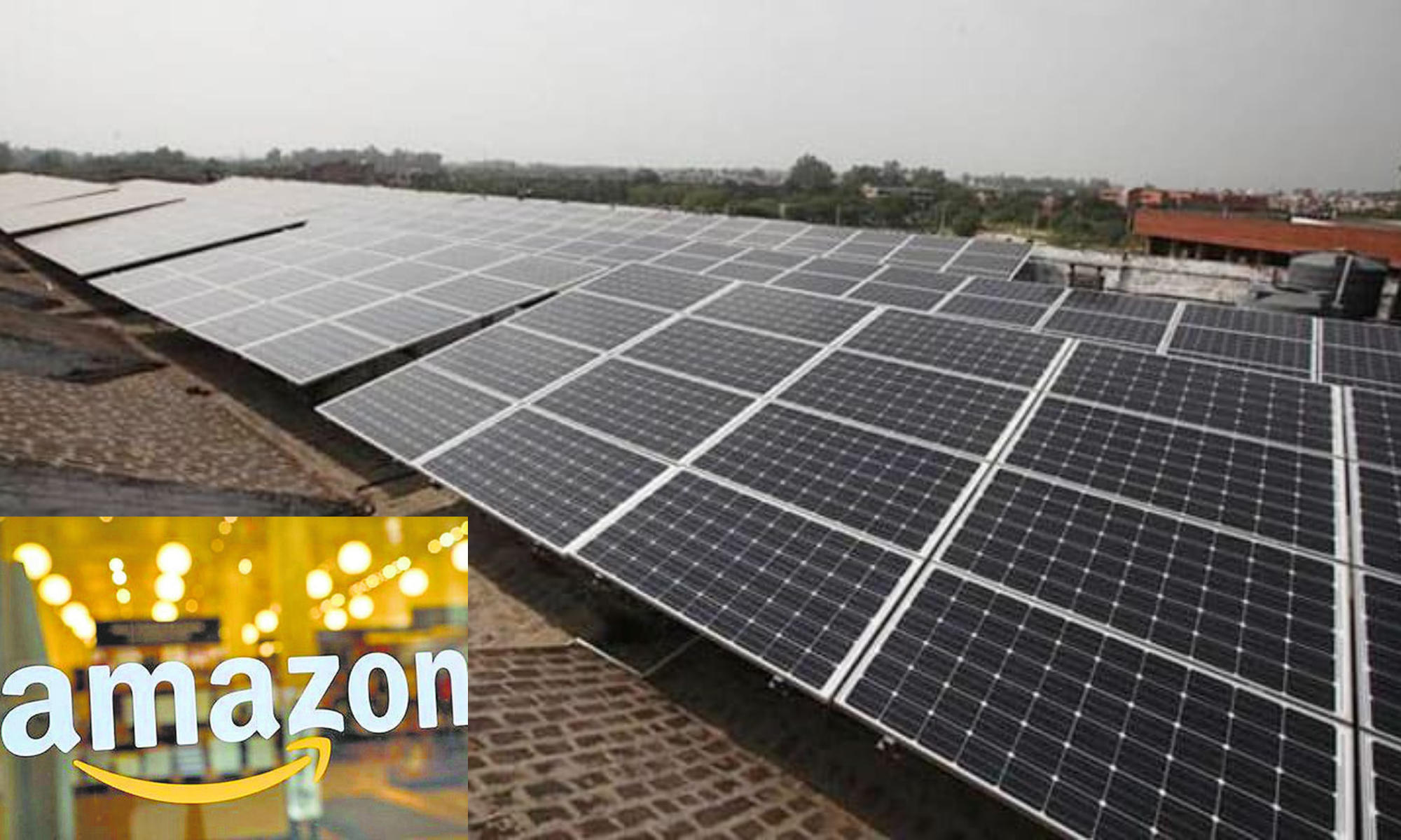 Amazon tie-up with Amp Energy to establish its first solar project in India