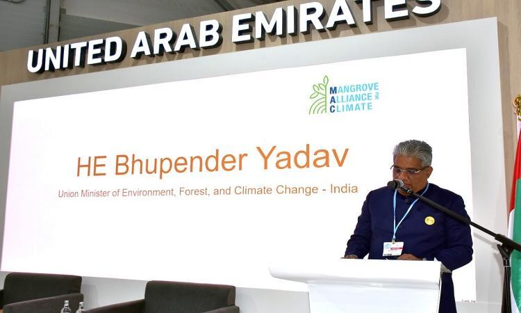 India Joins Mangrove Alliance for Climate (MAC) at COP27