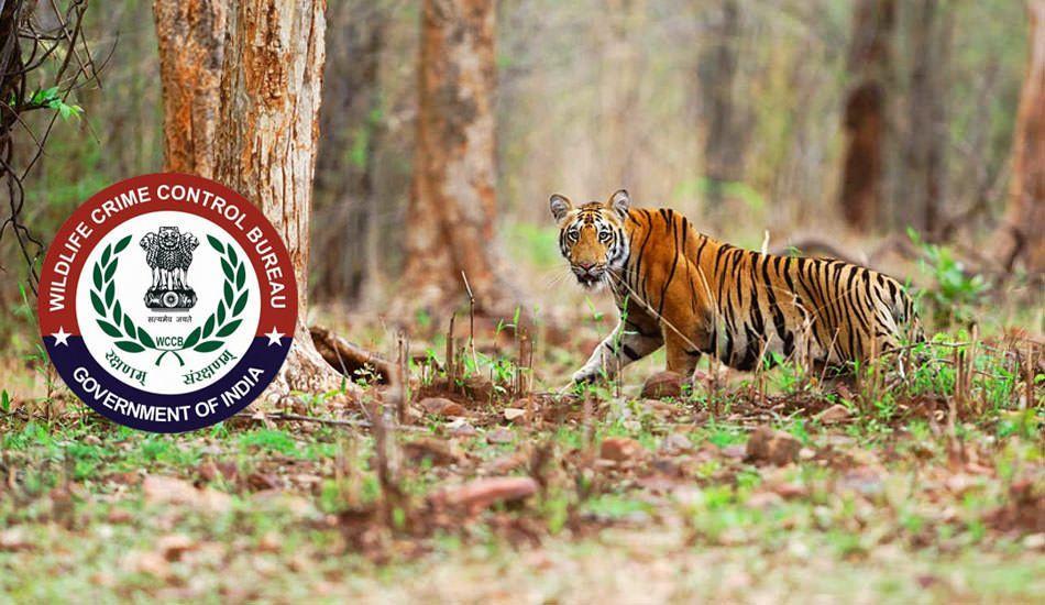 Wildlife Crime Control Bureau: Safeguarding Biodiversity and Combating Illegal Wildlife Trade_50.1