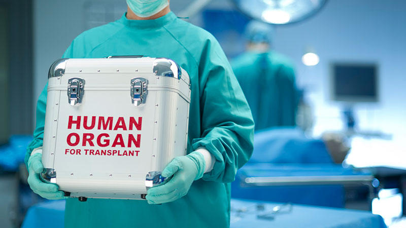 Digital registry on organ transplants to streamline donations on cards_50.1