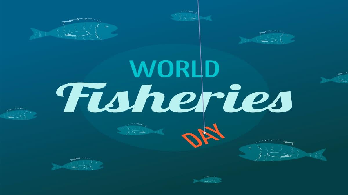 World Fisheries Day 2023: Date, Significance and History_60.1