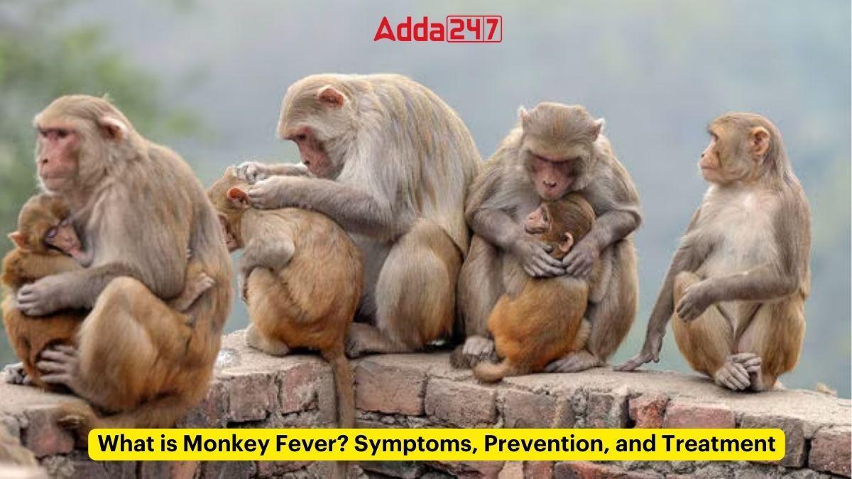 What is Monkey Fever? Symptoms, Prevention, and Treatment_60.1