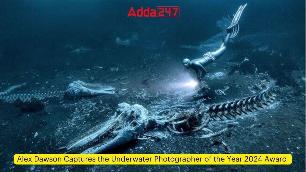 Alex Dawson Captures the Underwater Photographer of the Year 2024 Award_60.1