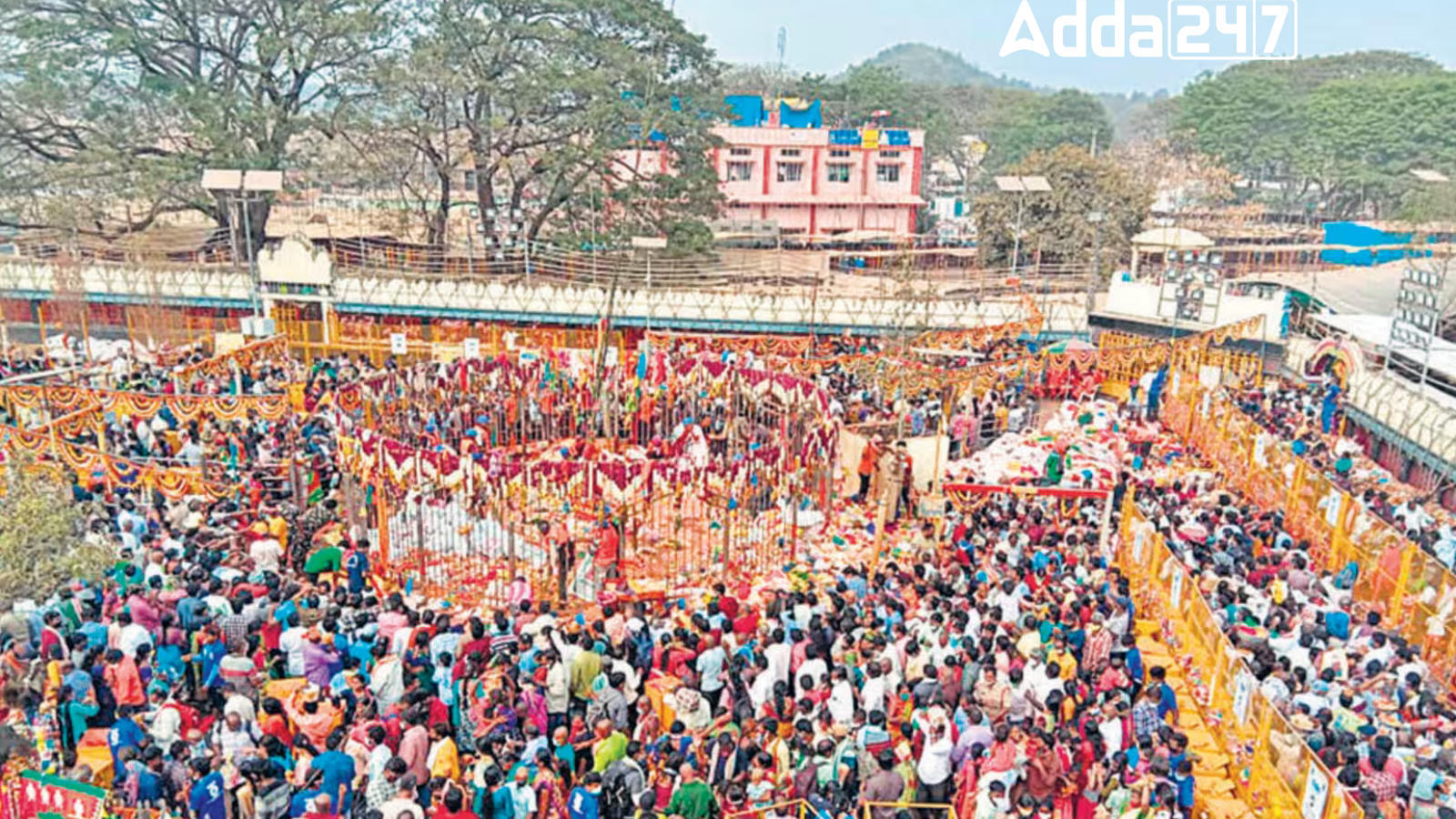 Tribal Festival 'Sammakka Saralamma Jatara' Kicks Off In Telangana_60.1