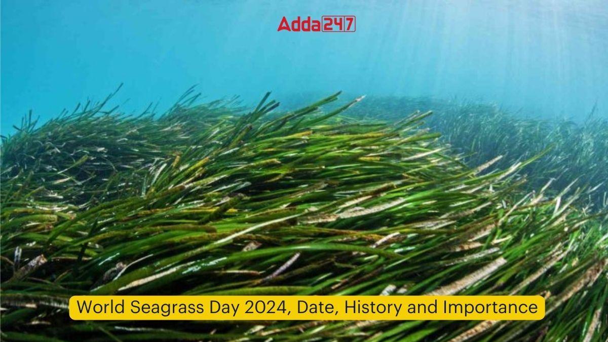 World Seagrass Day 2024, Date, History and Importance_60.1