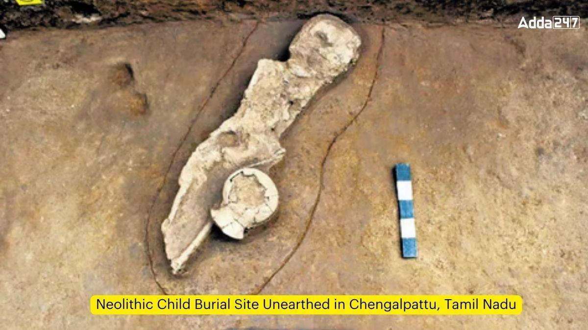 Neolithic Child Burial Site Unearthed in Chengalpattu, Tamil Nadu_60.1