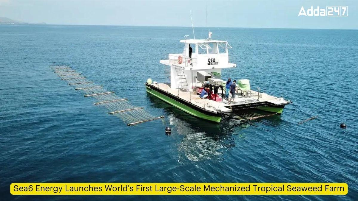 Sea6 Energy Launches World's First Large-Scale Mechanized Tropical Seaweed Farm_60.1