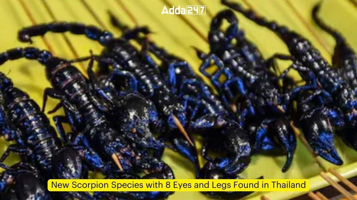 New Scorpion Species with 8 Eyes and Legs Found in Thailand_60.1