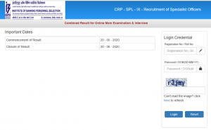 IBPS SO Final Result 2020 Out: Check SO Final Result Link_4.1