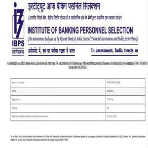 Success Story of Pratik Dusane Selected as IBPS PO in Union Bank of India |_3.1