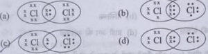 CBSE Class 10 Science Answer Key 2023, Question Paper Solutions_70.1