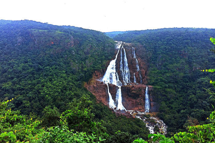 Highest Waterfall in India_80.1