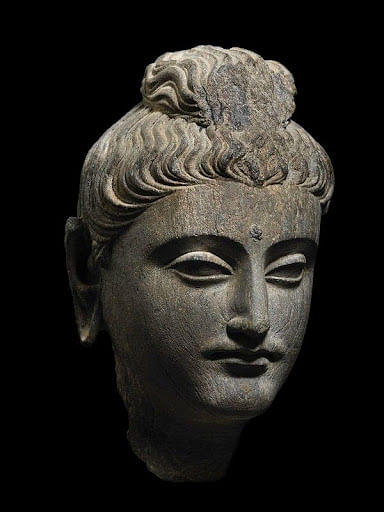 Buddha Head- Gandhara