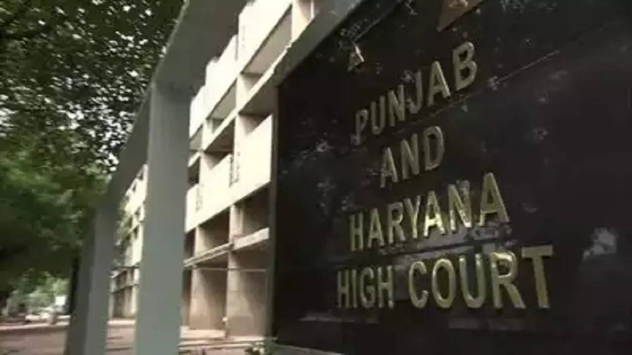 Punjab and Haryana HC takes ChatGPT's help to decide on bail plea in murder case - Know what AI chatbot said