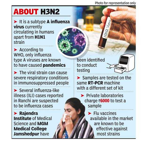 Flu cases increase in Jharkhand, experts suspect H3N2 virus | Ranchi News - Times of India