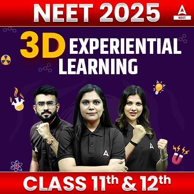 One - 3D Experiential Learning Course for NEET 2025 - (Complete Class 11th & 12th ) Based on Latest NTA Syllabus by Adda247