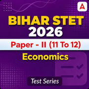 Bihar STET Paper - II Economics 2026 Mock Test