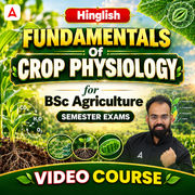 Fundamentals of Crop Physiology for BSc Agriculture Semester Exams | Hinglish | Video Course by Adda247