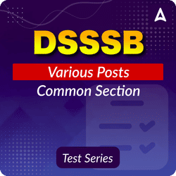 DSSSB Exams Various Posts (Common Section) Test Series 2025