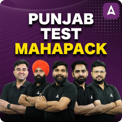 Punjab Test Mahapack