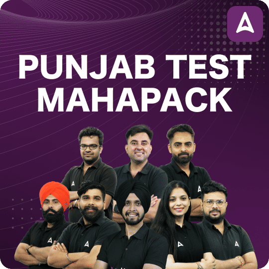 Punjab Test Mahapack