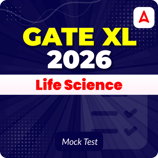 GATE XL 2026 Mock Test