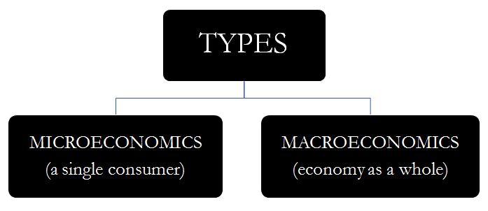Economics: Definition, Types, Examples & Importance – StudiousGuy