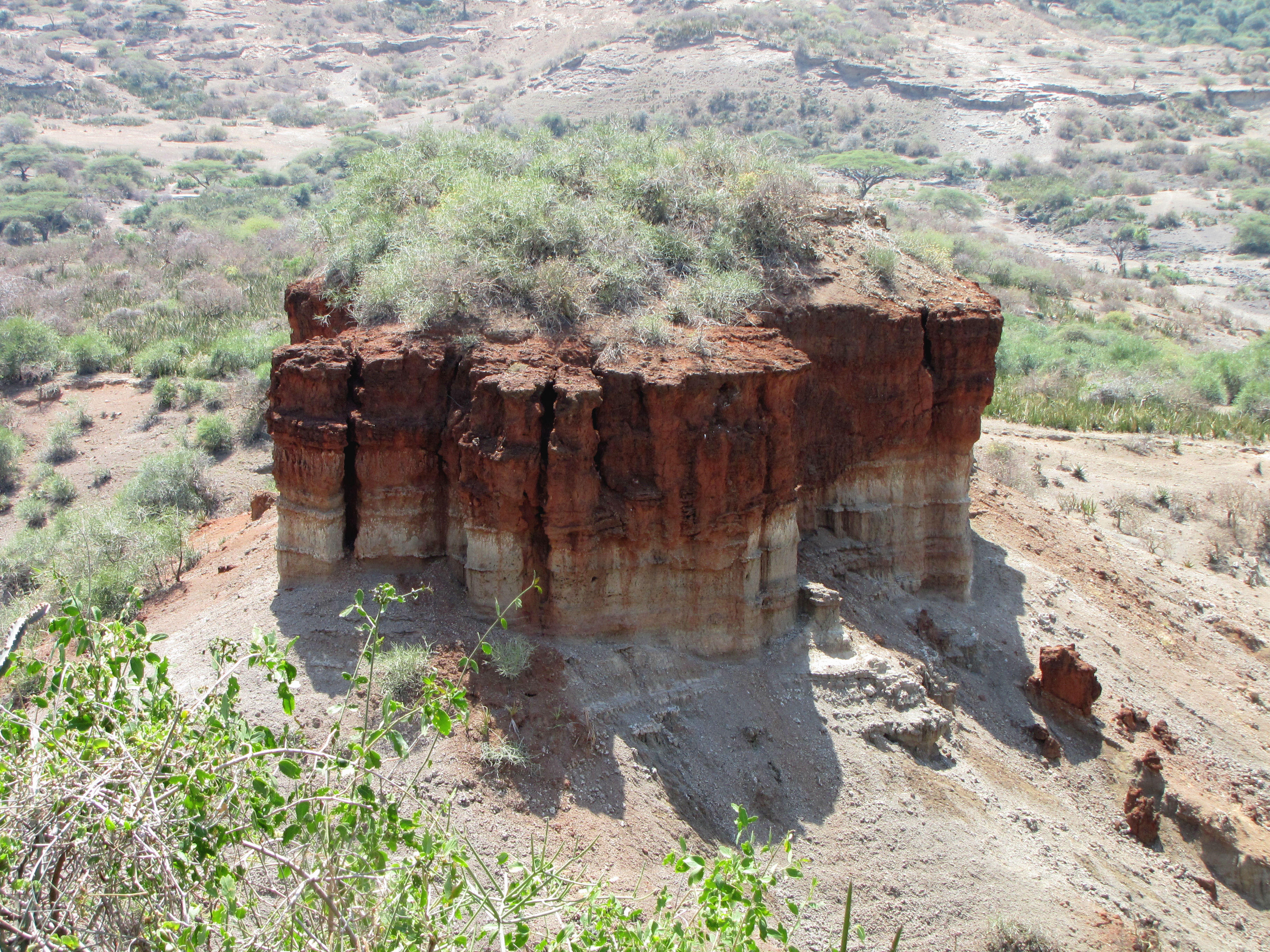 Olduvai Gorge - Simple English Wikipedia, the free encyclopedia