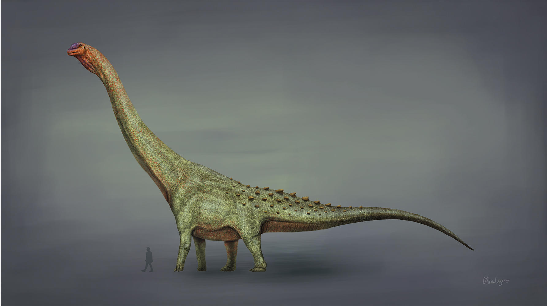 The world's largest dinosaur till now, know the names of top-10_50.1
