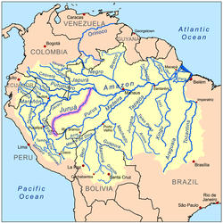 Amazon River Tributaries: Juruá River