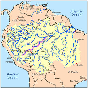 Amazon River Tributaries: Purus River