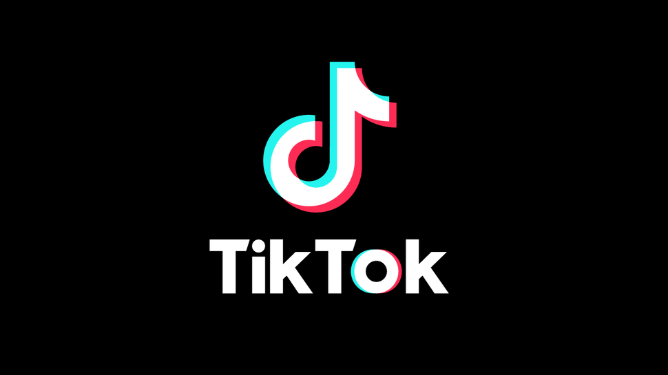 TikTok Pulse: Program Will Share Ad Revenue With Popular Creators
