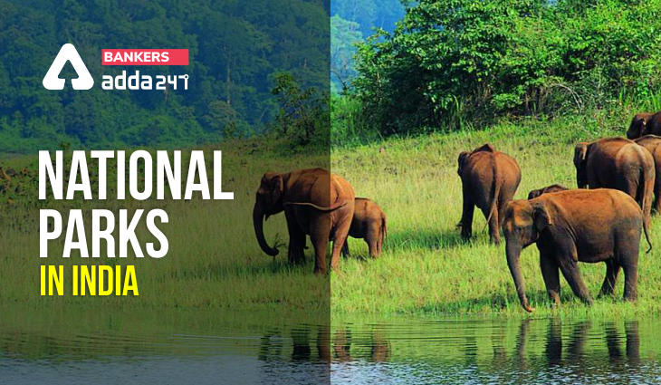 List of National Parks in India: 104 National Parks and 566 Wildlife Sanctuaries_40.1