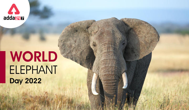 World Elephant Day 2022, History & Significance_40.1