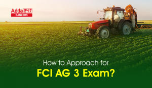 How to Approach FCI Assistant Grade 3 Exam?