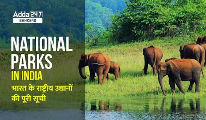 National Parks in India: भारत के राष्ट्रीय उद्यानों की पूरी सूची – Check Complete List of national parks & Wildlife Sanctuary of India |_40.1